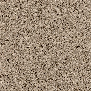 Household Hues I Gable Brown 31 oz. Polyester Textured Installed Carpet