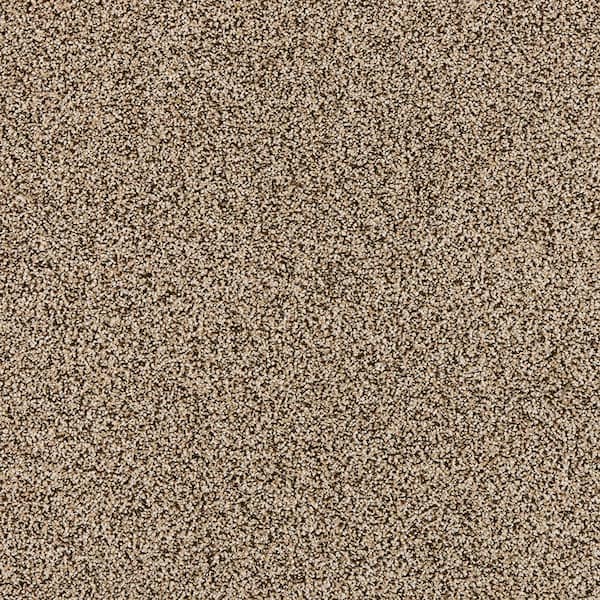 TrafficMaster Household Hues I Gable Brown 31 oz. Polyester Textured Installed Carpet