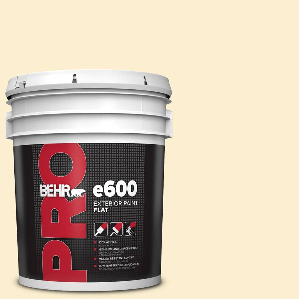 5 gal. #370C-2 Custard Cream Flat Exterior Paint price history on PriceWatchPro