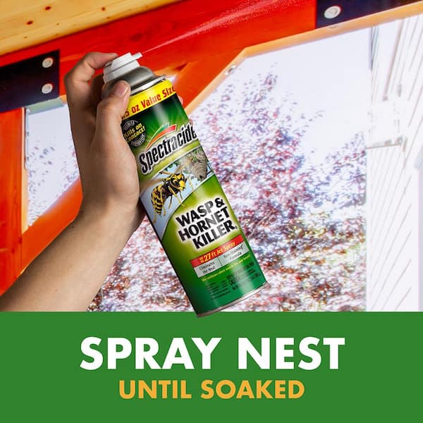 Wasp and Hornet Killer, 16 oz Aerosol Spray Wasp and Hornet Killer, 16 oz Aerosol Spray