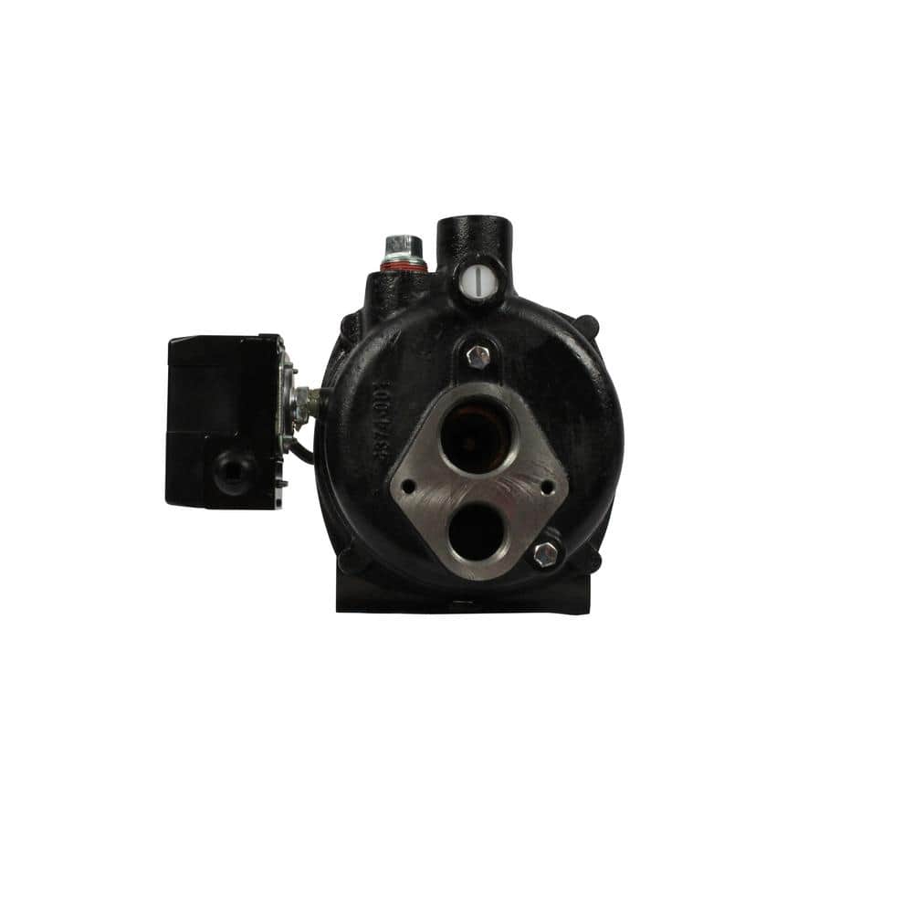 Wayne 1/2 HP Black Cast Iron Convertible Jet Well Pump