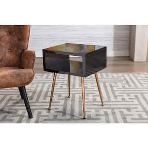18 in. W x 23 in. H Acrylic Black Stainless Steel Mirror End Table