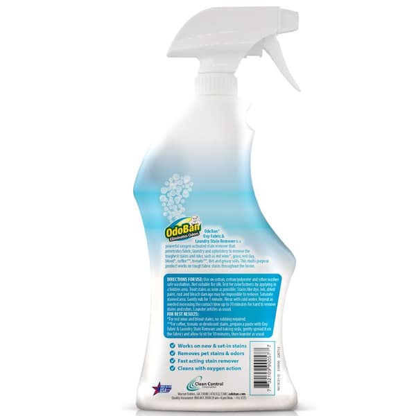 2 Pack Shout Carpet Oxy Carpet Cleaning Foam Eliminates Pet Stains Odors  16oz