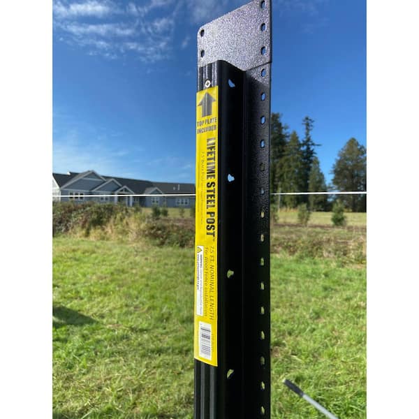 LIFETIME STEEL POST 8 ft. x 4 in. Powder Coated Black Steel Metal Fence Post with Top Plate for In-Ground Line Applications