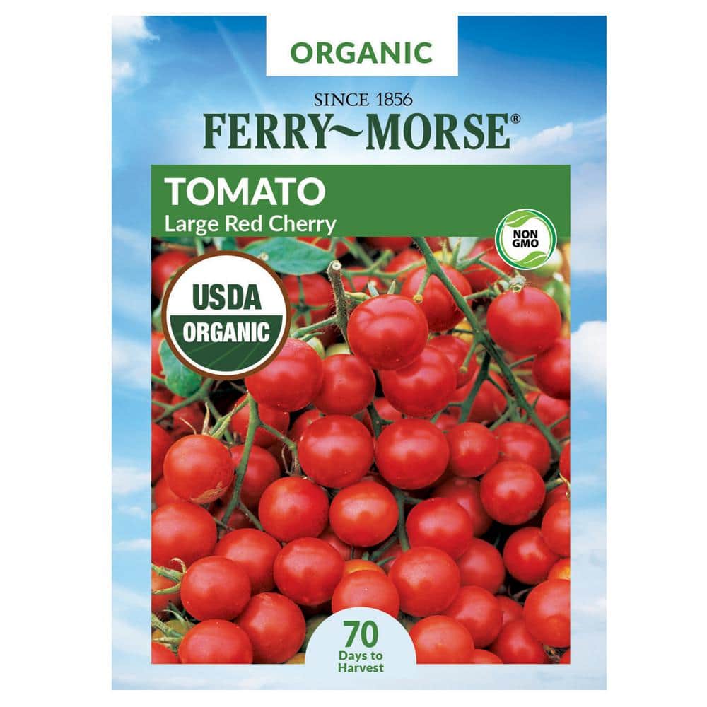 Tomato Seeds - Large Red Cherry (organic)