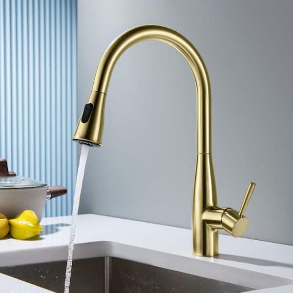 16.57 in. Single-Handle Pull-Down Sprayer Kitchen Faucet with Dual Function Sprayhead in Brushed Gold