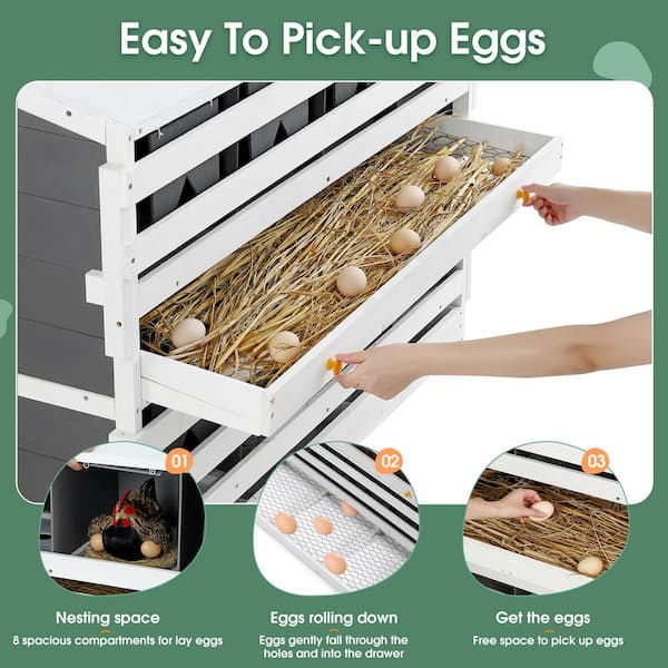 Heavy Duty Egg Basket (up to 24 eggs) - My Pet Chicken