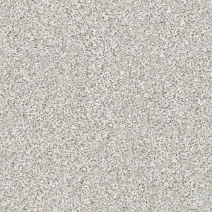 Karma II - Mystic - Beige 50.5 oz. Nylon Texture Installed Carpet
