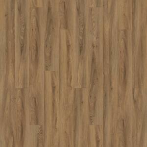 Take Home Sample - Basics Coniferous Hills Glue down Waterproof Luxury Vinyl Plank Flooring