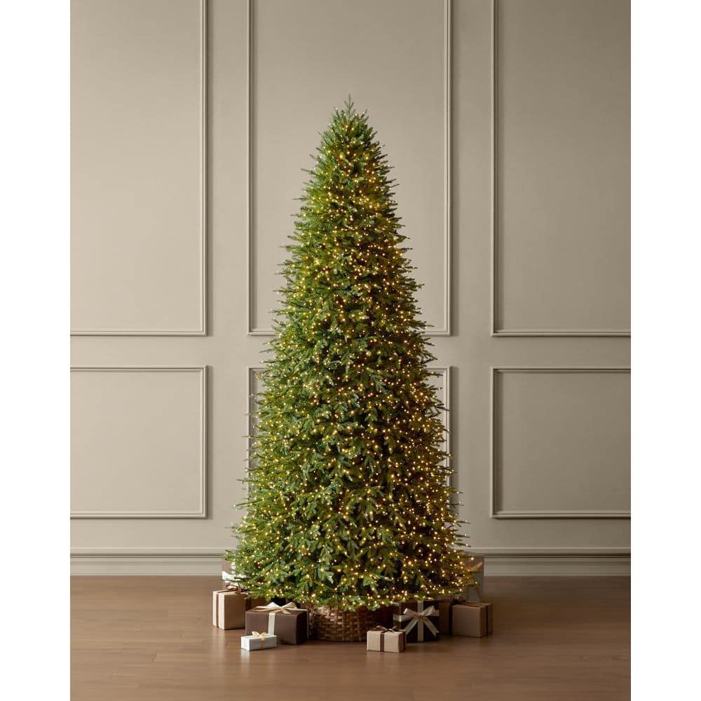 Home Decorators Collection 12 ft. Grand Duchess Twinkling Balsam