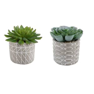 4 in. Artificial Set of 2 Succulent in Pattern Cement Pot