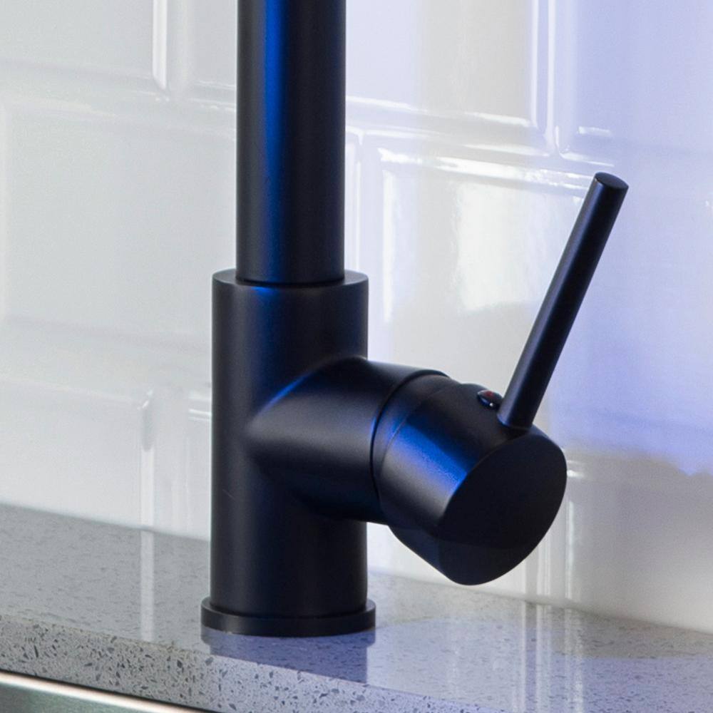 Matte Black High-Arc Kitchen Faucet with Pull-Down Spray