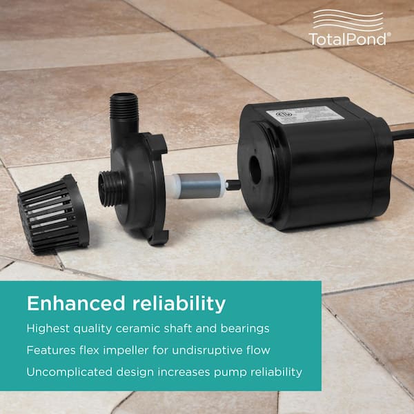 【wordofhonor75】Windflower、Pond Fish Pond from WOF – The Colouring Times