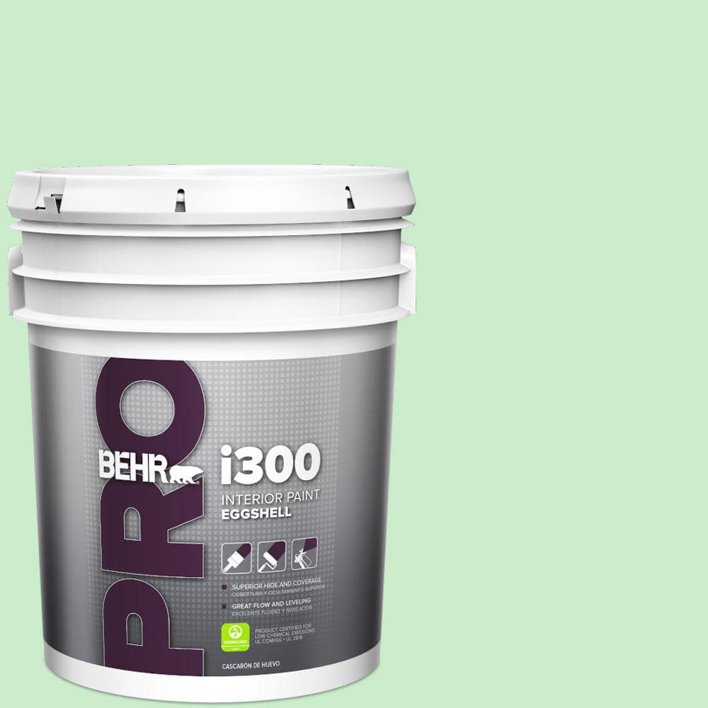 5 gal. #P390-2 Chilled Mint Eggshell Interior Paint price history on PriceWatchPro