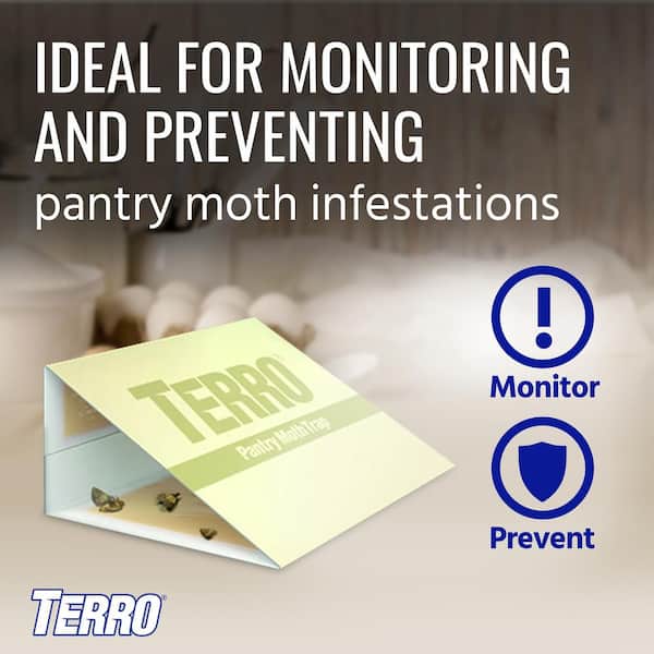  BugMD Pantry Pest Patrol (6 Count) - Moth Traps for Kitchen,  Pantry Moth Trap, Bug Trap, Moth Traps for House Pantry, Get Rid of Pantry  Moth, Kitchen Moth Trap Killer 