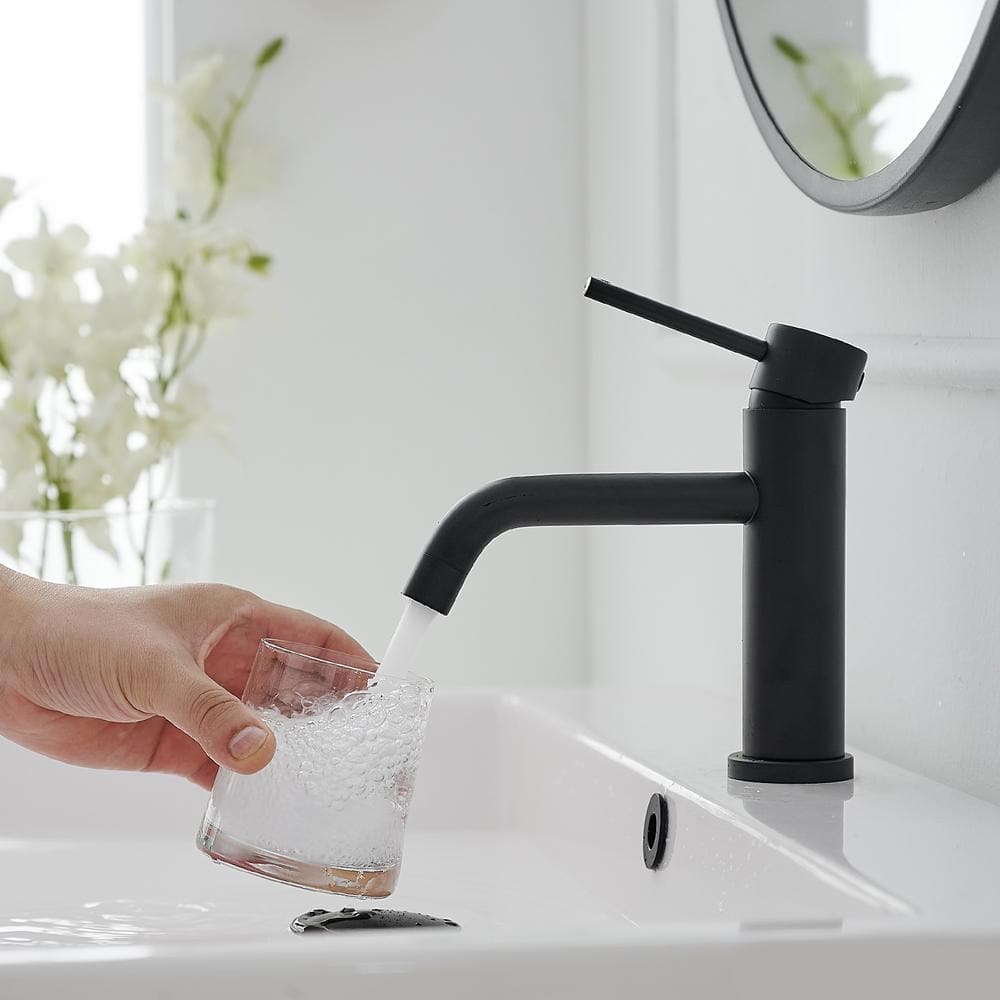 Matte Black Stainless Steel Single Handle Bathroom Faucet