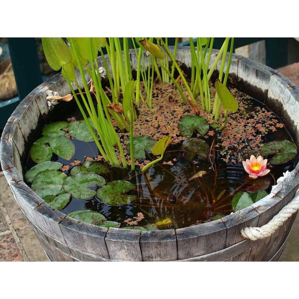 Water Tight Oak Wood Tall Wine Barrel Planter