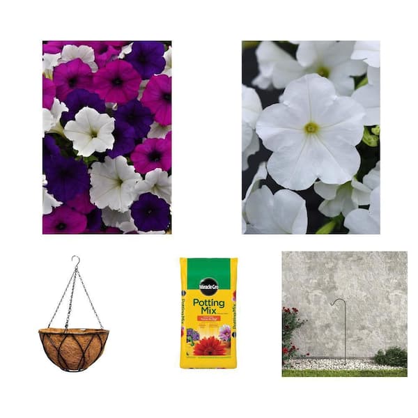 Great Lakes Mix and White Petunia 4-Pack Annuals, 12 in. Hanging Basket, 50 qt. Potting Mix, and 64 in. Shepherd Hook