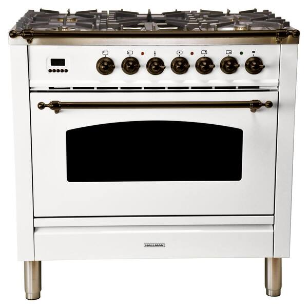 downdraft gas range home depot