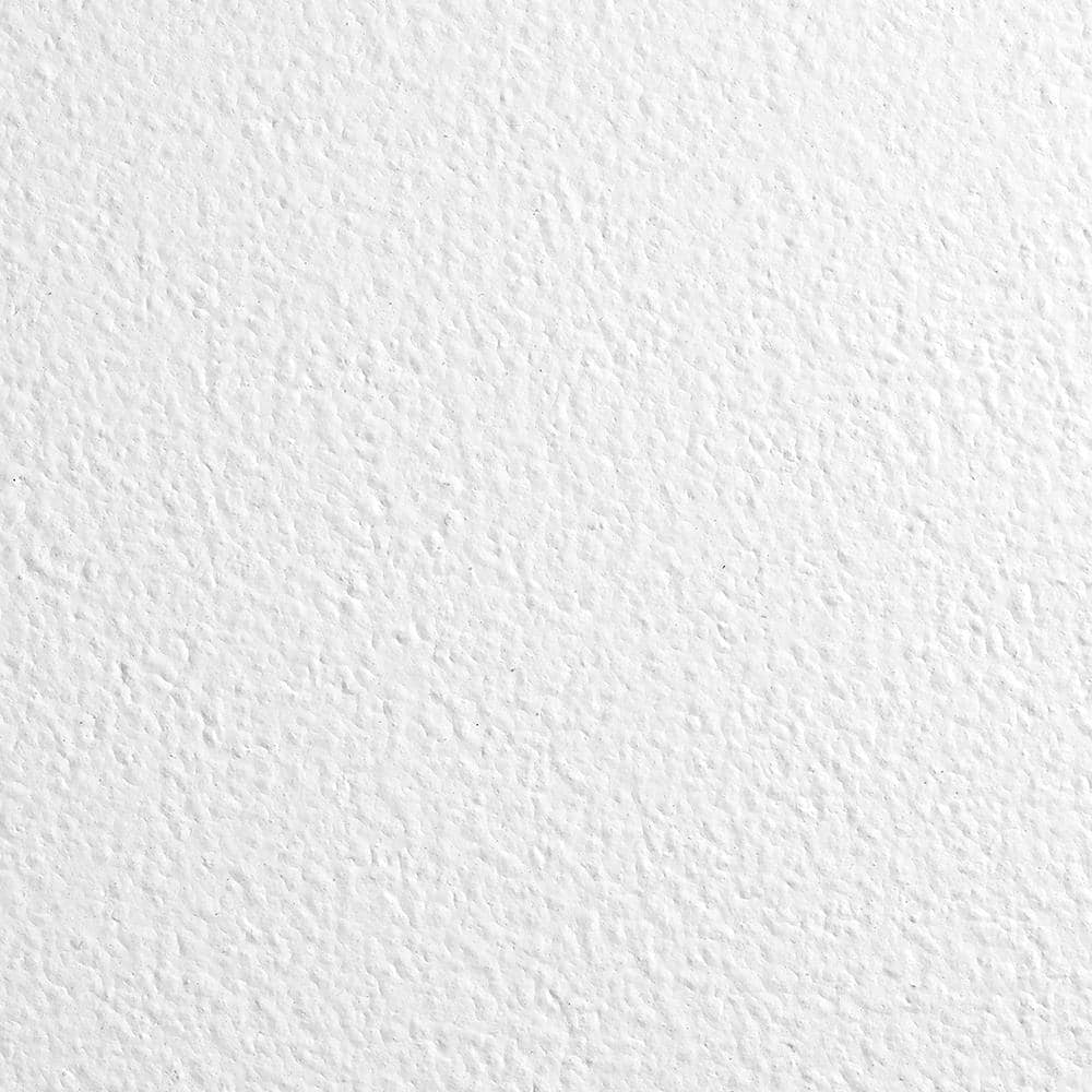 Kitchen Zone 2 ft. x 2 ft. Square Lay-In Ceiling Tile ( 64 sq. ft. /case)