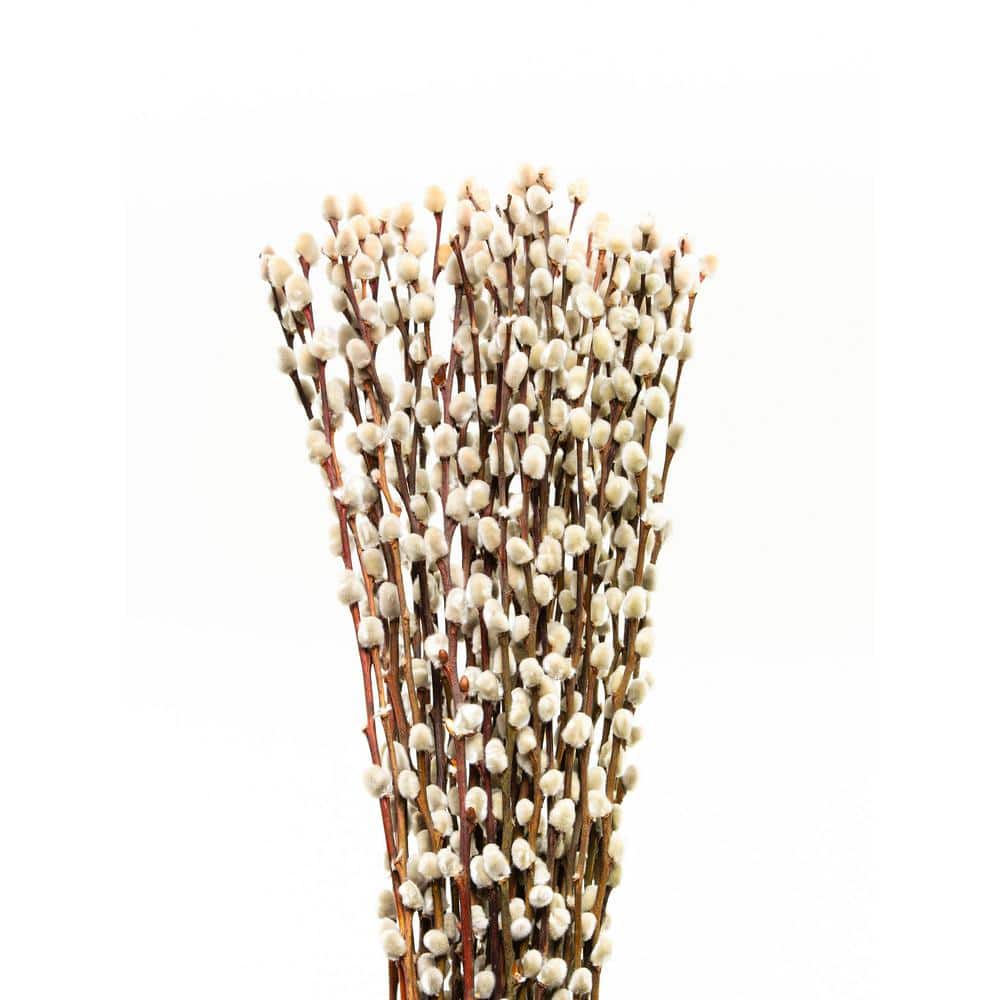 20-in-assorted-mix-pussy-willow-salix-caprea-branch-plant-bundle-10-pack-wilbun-02-the-home-depot