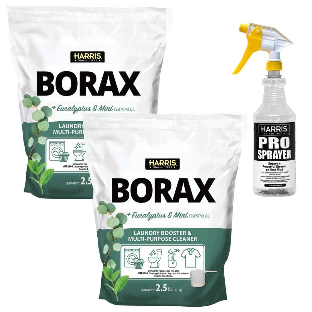 Bórax: la solución milagrosa para limpiar tu hogar - Nature's Discount