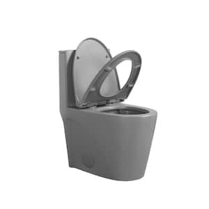 12 in. 1-piece 1.1/1.60 GPF Dual Flush Elongated Toilet in Light Gray Seat Included