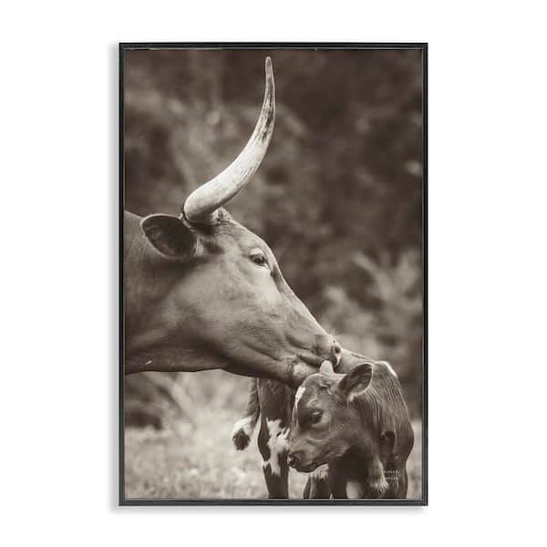 Longhorn Kissing Baby by Nathan Larson Black Framed Animal Giclee Art Print 18 in. x 12 in.