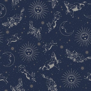 Zodiac Dreams Navy Peel and Stick Wallpaper