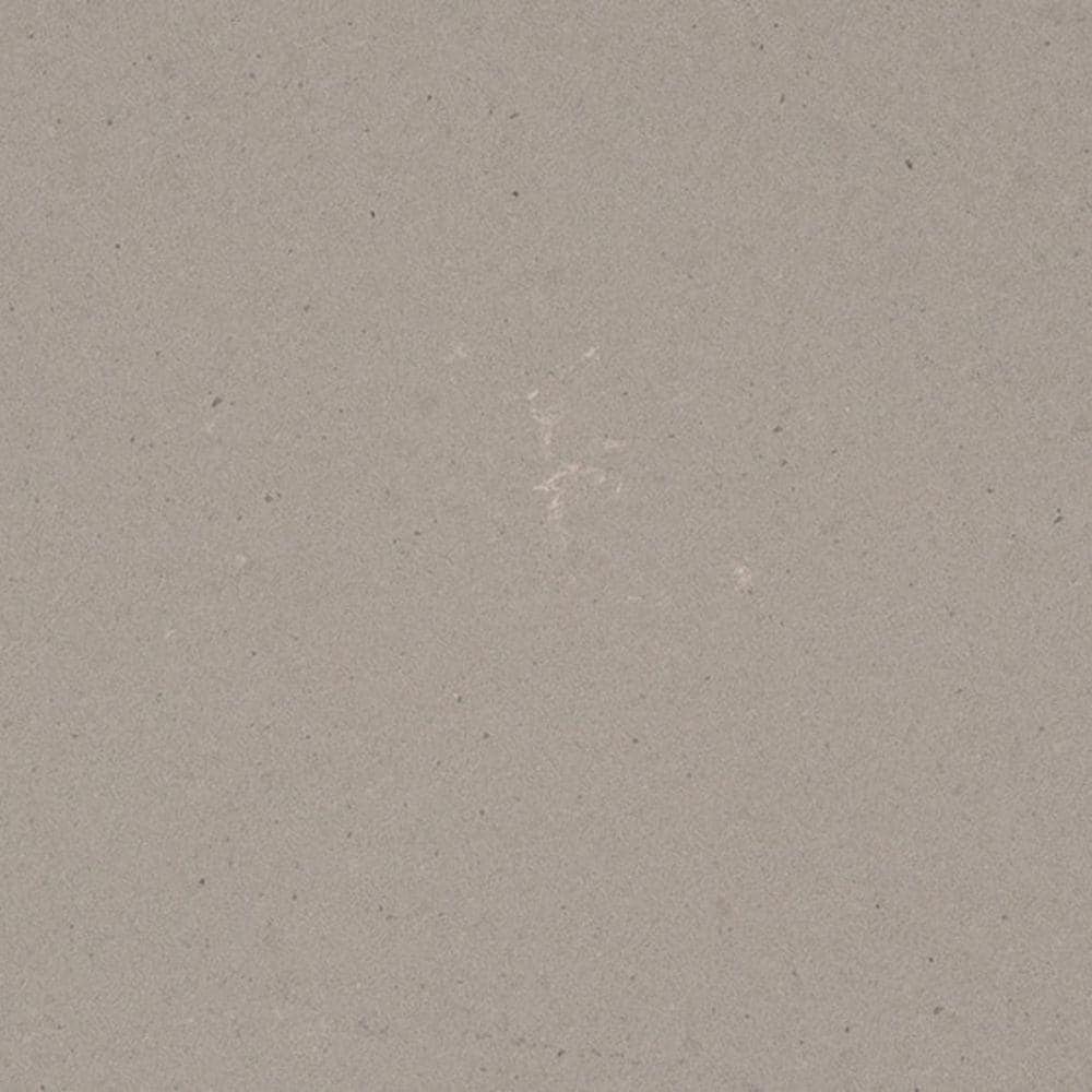 Reviews for Caesarstone 4 in. x 4 in. Quartz Countertop Sample in Raw