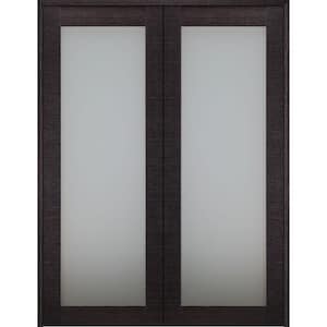 Avanti 36" x 79.375" Both Active Black Apricot Frosted Glass and Manufactured Wood Standard Double Prehung French Door
