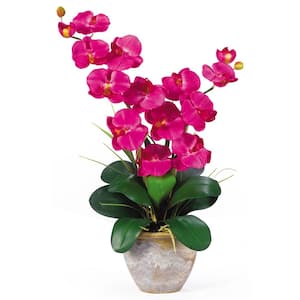 25 in. Artificial Double Phalaenopsis Silk Orchid Flower Arrangement in Beauty