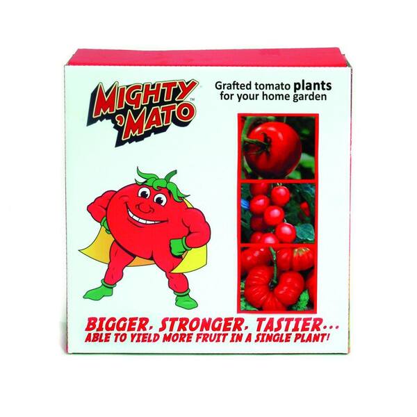 Mighty 'Mato Grafted Tomato Variety Pack - Contains 1 Each - Big Beef, Brandywine Red,Sweet Million-DISCONTINUED