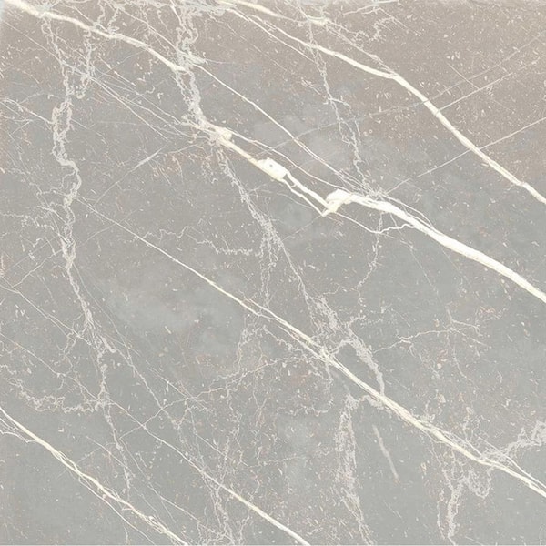 Regalia 4 in. x 4 in. Matte Ash Gray Porcelain Veining Tile Sample (0.14 sq. ft.)