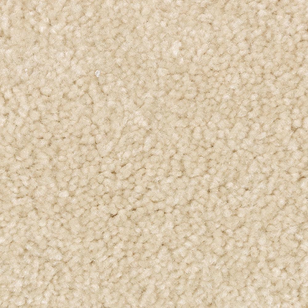 8 in. x 8 in. Texture Carpet Sample - Mason I -Color Canvas price history on PriceWatchPro