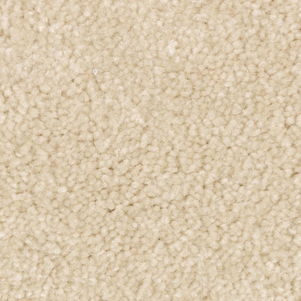 Lifeproof 8 in. x 8 in. Texture Carpet Sample - Mason I -Color Canvas