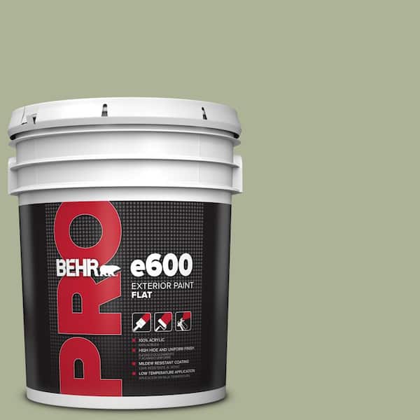 BEHR PRO 5 gal. #HDC-CT-28 Cottage Hill Flat Exterior Paint