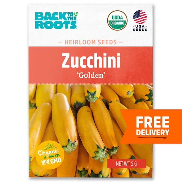Organic Summer Squash 'Golden Zucchini' Heirloom Vegetable Seeds