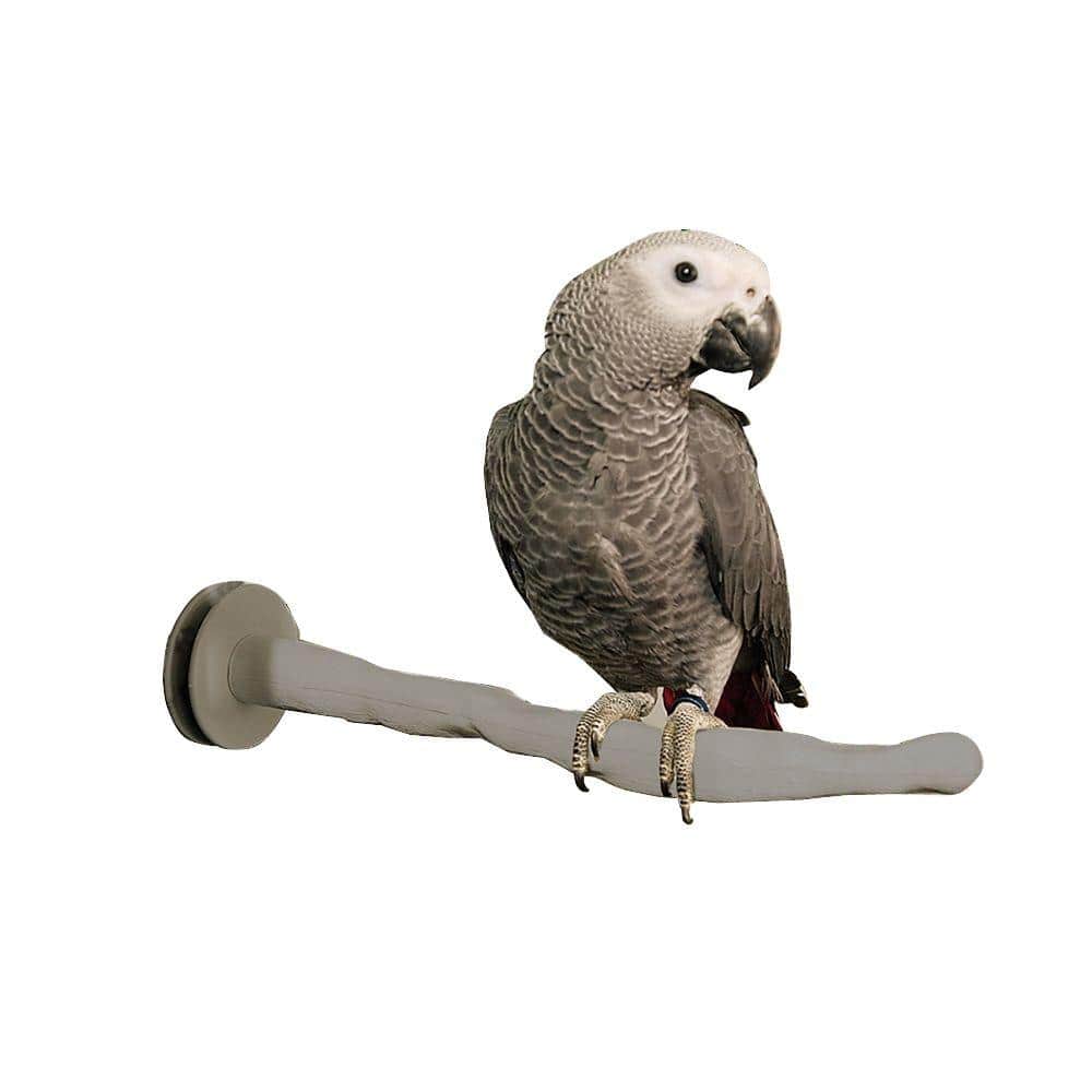 K&H Pet Products Thermo-Perch Large Bird Perch 100213397 - The Home Depot