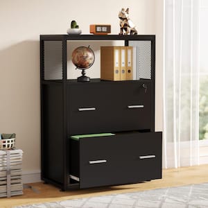 Atencio 2-Drawer Black Engineered Wood 23.6 in. W Lateral File Cabinet with Lock and Open Storage Shelf, Letter/Legal/A4