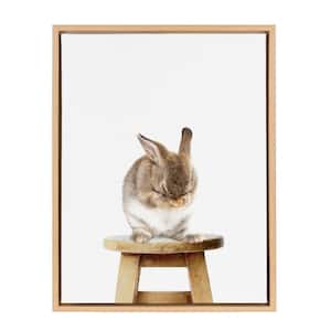 Sylvie "Shy Rabbit" by Amy Peterson Framed Canvas Wall Art