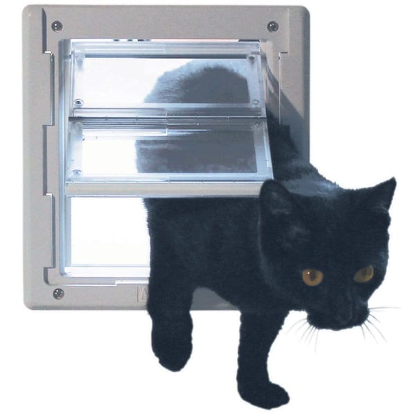 Ideal cat door best sale