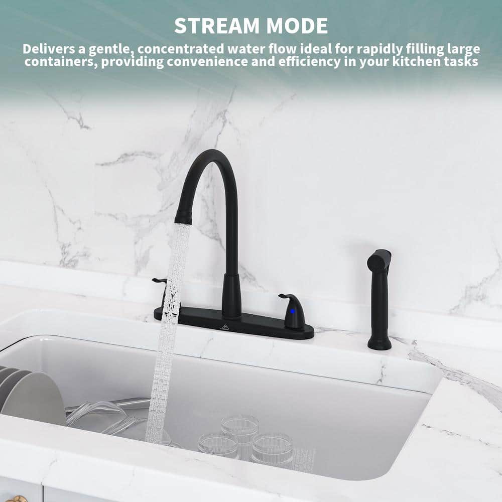 Matte Black Stainless Steel Double Handle Kitchen Faucet with Side Sprayer
