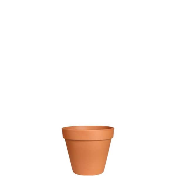 3 Qt. Standard Terracotta Decorative Planter (6 in. W x 5.25 in. H)