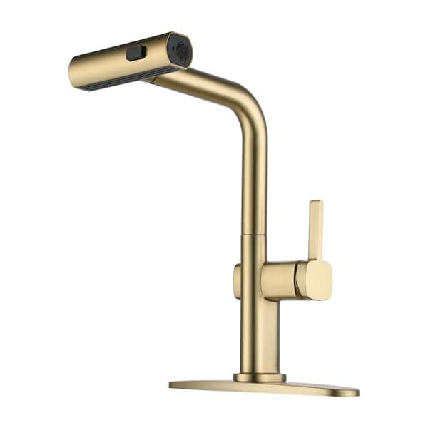 Single Handle 3-Spray Pull Out Sprayer Kitchen Faucet Deckplate Included in Brushed Gold