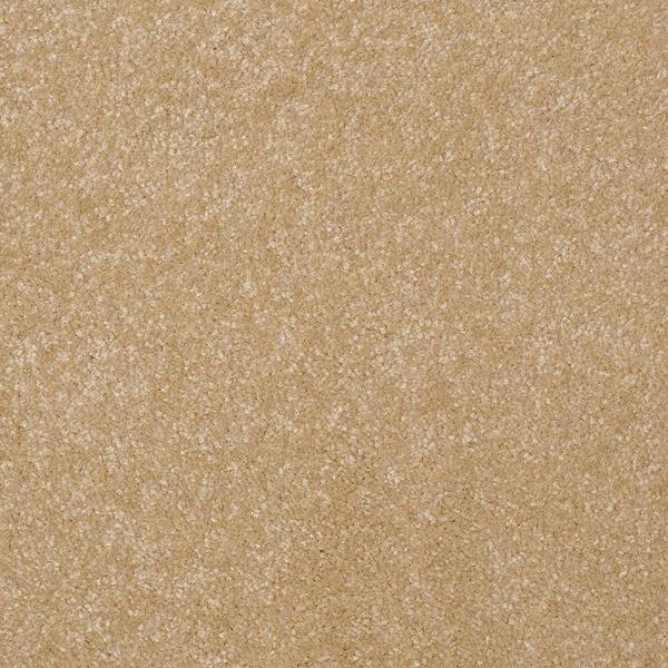 Platinum Plus Carpet Sample - Kingship I - Color Beach House Texture 8 in. x 8 in.