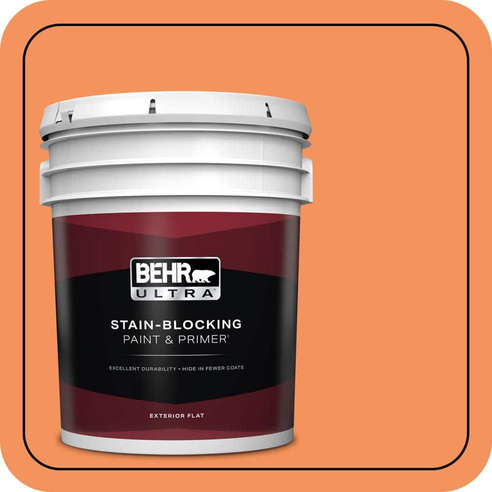 5 gal. #240B-5 Candied Yam Flat Exterior Paint & Primer price history on PriceWatchPro