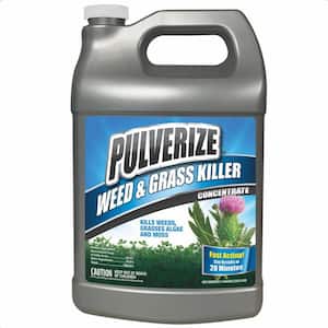 Weed and Grass Killer, 1 Gal. Concentrate