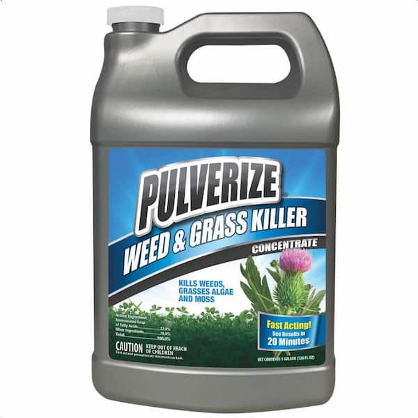 PULVERIZE Weed and Grass Killer, 1 Gal. Concentrate