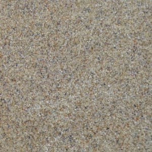 Port Abigail I  - Shoals - Beige 45 oz. SD Polyester Texture Installed Carpet